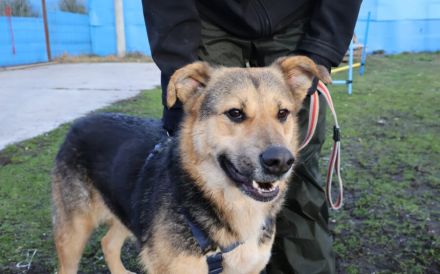 Zauberhafte Jojo sucht ihre Menschen