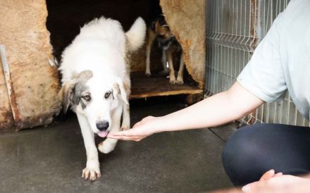 Trudi braucht deine Hilfe!