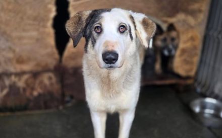 Trudi braucht deine Hilfe!