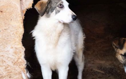 Trudi braucht deine Hilfe!