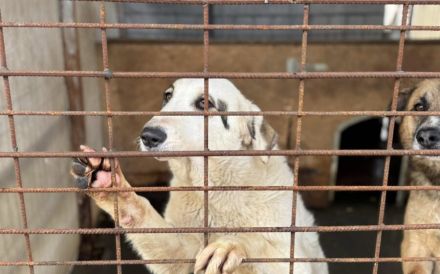 Trudi braucht deine Hilfe!