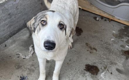 Trudi braucht deine Hilfe!