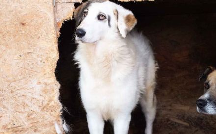 Trudi braucht deine Hilfe!