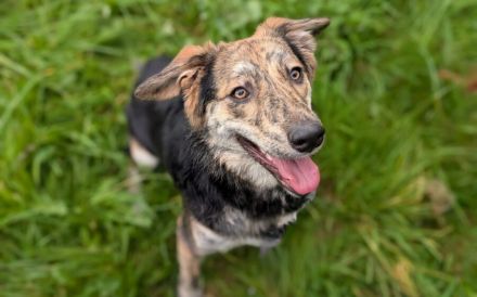 Zauberhafte Annegret such erfahrenes Zuhause