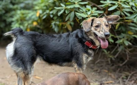 Zauberhafte Annegret such erfahrenes Zuhause