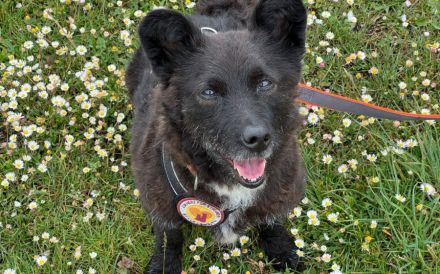 Mit Lady Liberty auf Entdeckungstour