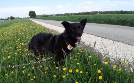 Mit Lady Liberty auf Entdeckungstour