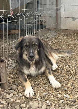 LUPIN sucht sein Zuhause