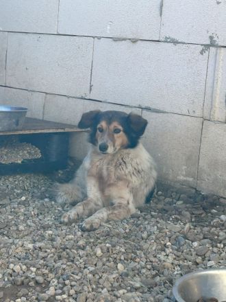 Wundervolle THORGUNNA