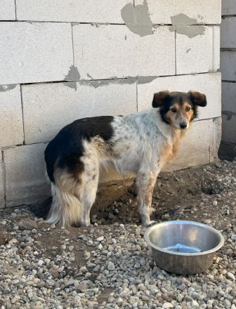 Wundervolle THORGUNNA