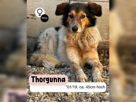 Wundervolle THORGUNNA
