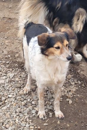 Wundervolle THORGUNNA