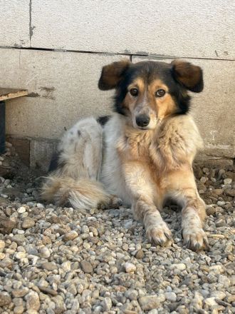 Wundervolle THORGUNNA