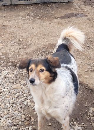 Wundervolle THORGUNNA