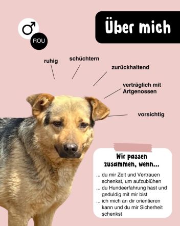 AMAL - wie lange kann ein Herz warten?