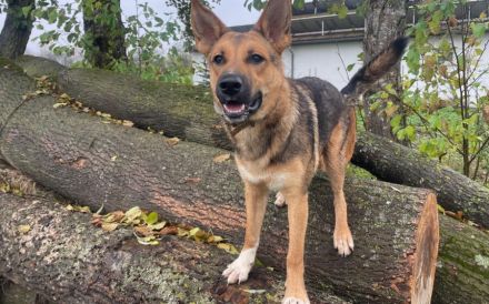 Lass dich von Maverick verzaubern!