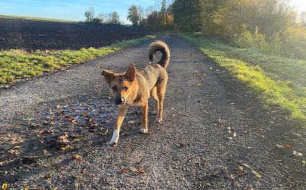 Lass dich von Maverick verzaubern!