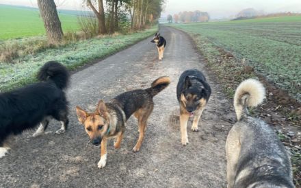 Lass dich von Maverick verzaubern!