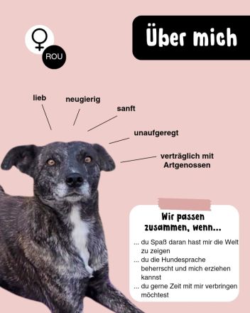 LARA die sanfte Seele