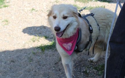 Zauberhafte Ambra sucht ihre Familie