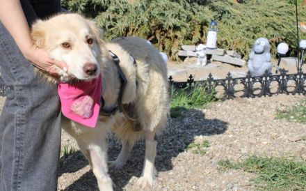 Zauberhafte Ambra sucht ihre Familie