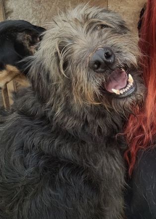 Großer RICKY mit noch größerem Herz