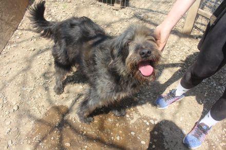 Großer RICKY mit noch größerem Herz