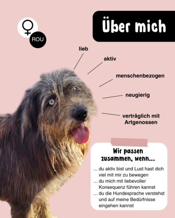 BLUE - Ozeanblaue Augen suchen DICH