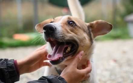 Purah möchte doch nur geliebt werden