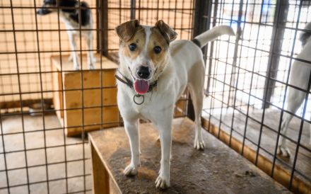 Purah möchte doch nur geliebt werden