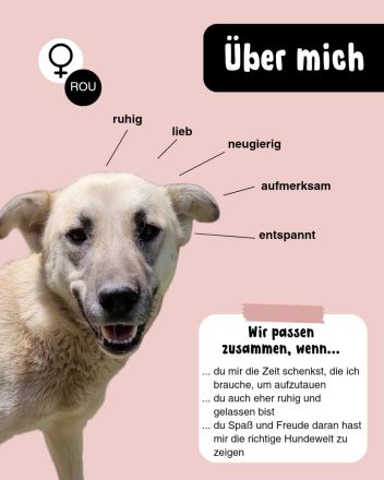 ELLA eine sanfte Begleiterin