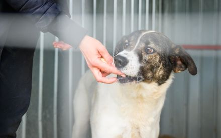 Zeynep kann tatsächlich lächeln!