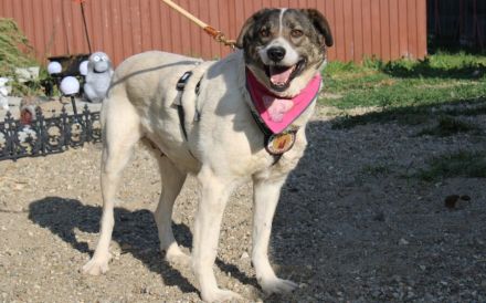 Zeynep kann tatsächlich lächeln!