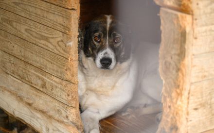 Zeynep kann tatsächlich lächeln!