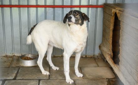 Zeynep kann tatsächlich lächeln!