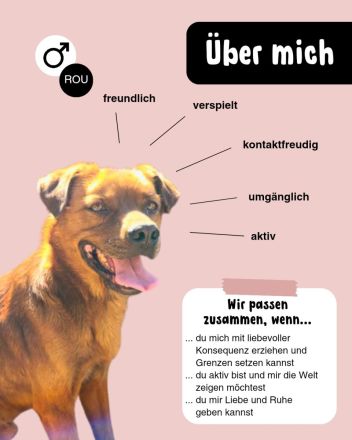Der lachende LORD