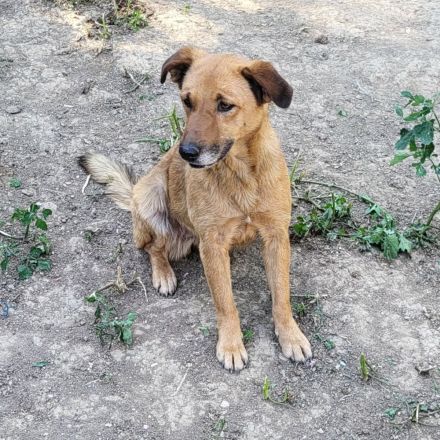 Zeigst du FINE die Welt?