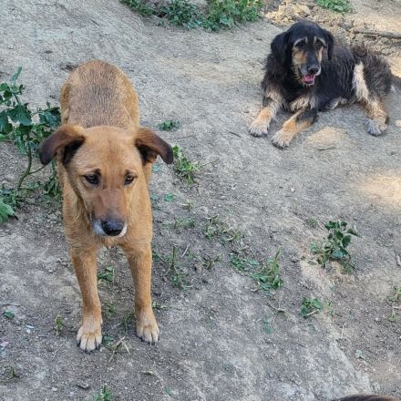 Zeigst du FINE die Welt?