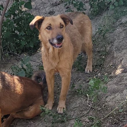 Zeigst du FINE die Welt?