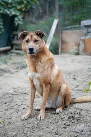 MONTY sucht nach Liebe