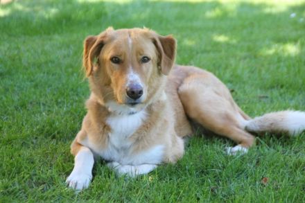 Nicos und Nina - zwei Griechen auf der Suche