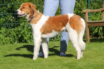 Nicos und Nina - zwei Griechen auf der Suche