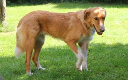 Nicos und Nina - zwei Griechen auf der Suche