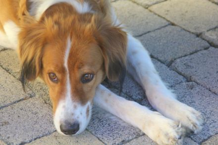 Nicos und Nina - zwei Griechen auf der Suche