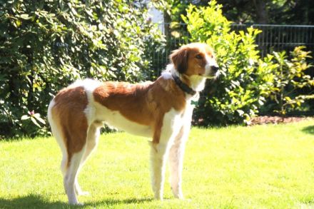 Nicos und Nina - zwei Griechen auf der Suche