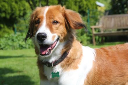 Nicos und Nina - zwei Griechen auf der Suche