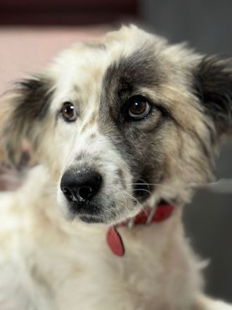 Rosalie – vom Leben gezeichnet, aber voller Liebe!!