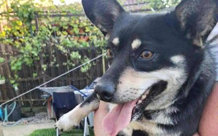 Aktiver Camino will die Welt entdecken!