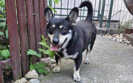 Aktiver Camino will die Welt entdecken!