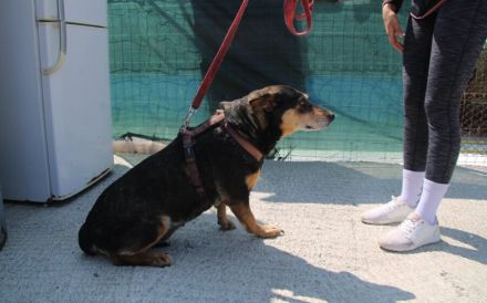 Wella sucht ihren sicheren Hafen